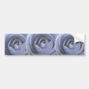 Camellia Froid Bumper Sticker