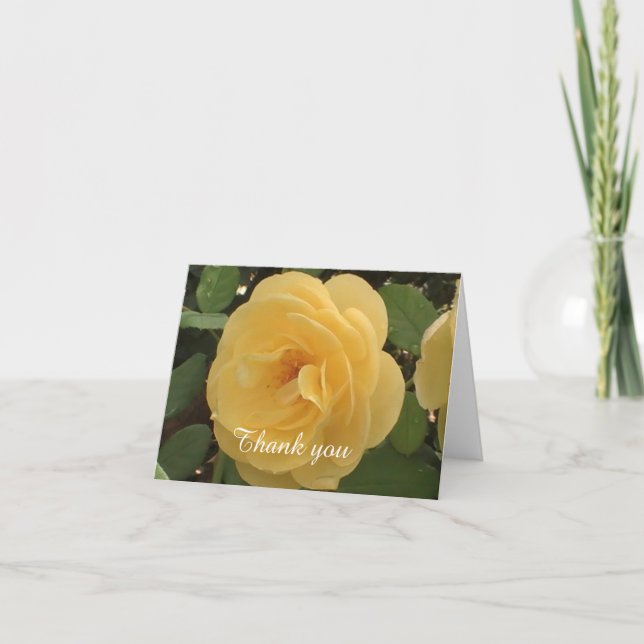 Camellia jaune Carte de remerciements (Devant)