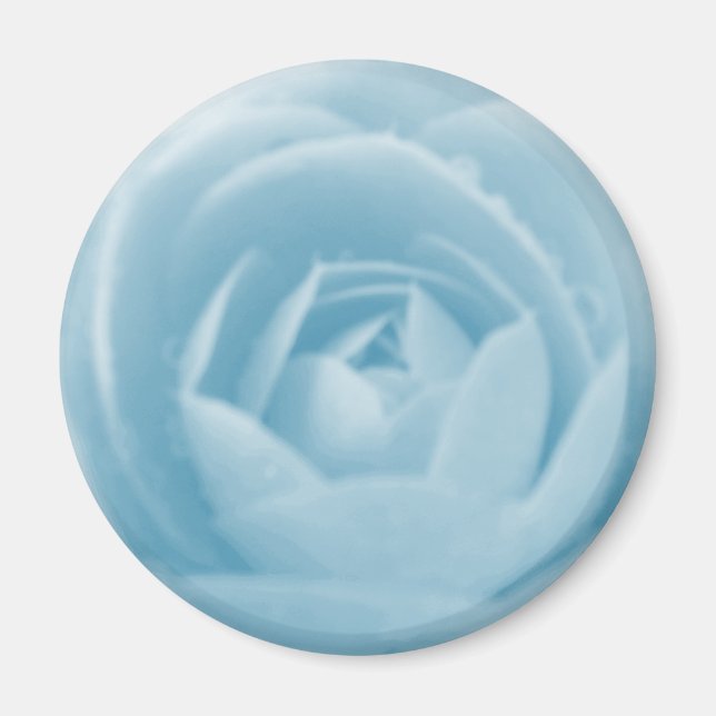 Camellia Whirlpool Magnet (Devant)