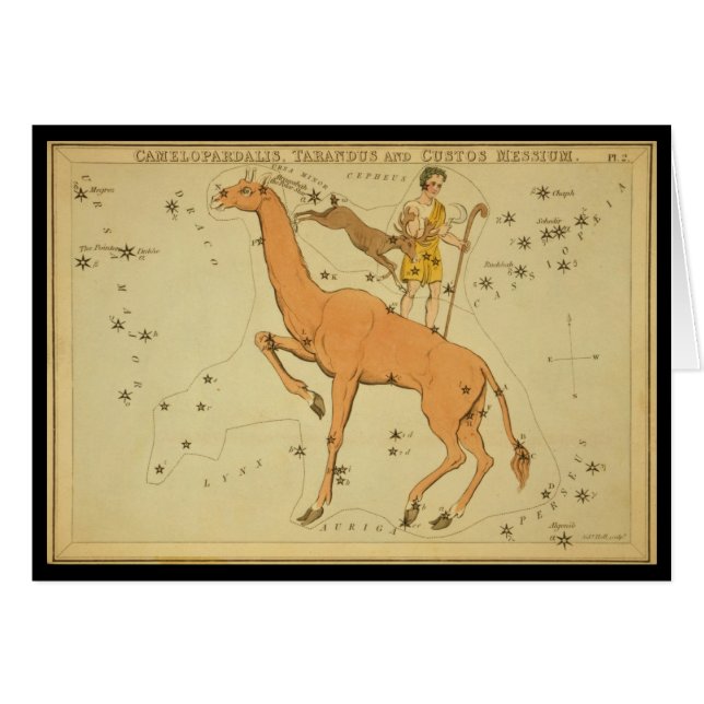 Camelopardalis, Tarandus et Custos Messie (Devant horizontal)