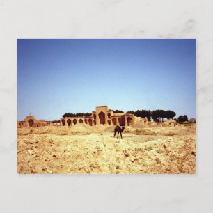 Camels de carte postale sur l'ancienne route de la