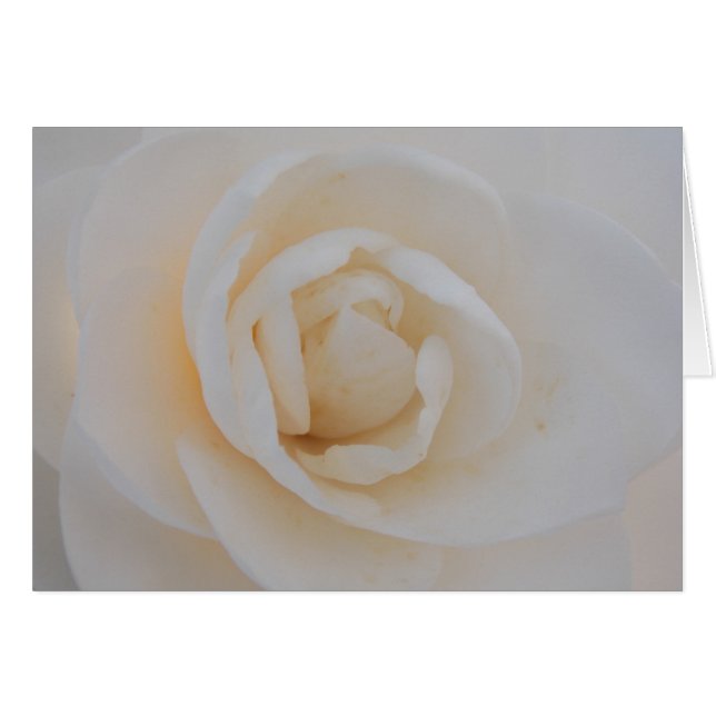 Camilla Bliss (Devant horizontal)