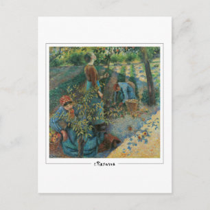 Camille Pissarro #17-2 - Carte postale d'art fin