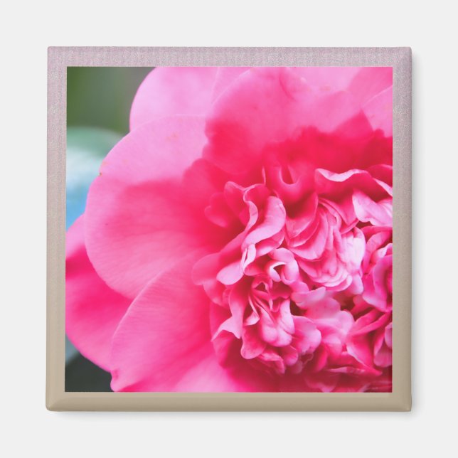 Camillia Artisan Rose Flower Magnet (Devant)