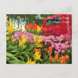 Camion rouge avec tulipes, carte postale de l'Oreg