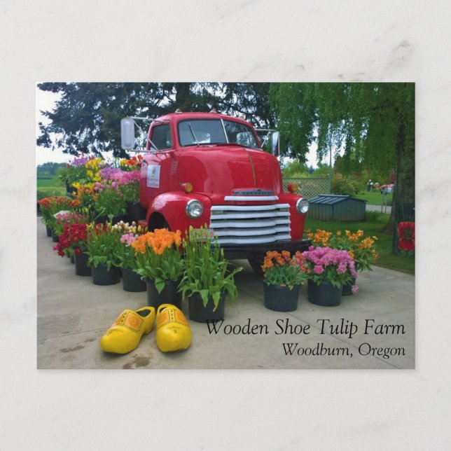 Camion rouge avec tulipes, carte postale de l'Oreg (Devant)