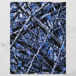 Camo au clair de lune