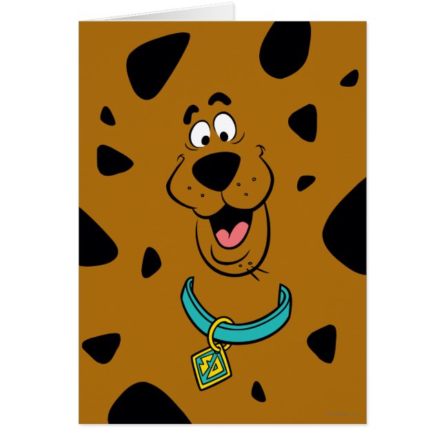 Camouflage Scooby-Doo (Devant)