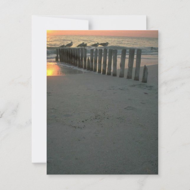 Camp de chalets d'été Invitation à la fête de plag (Devant)