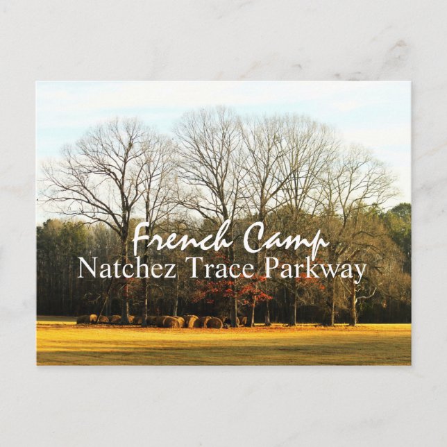 Camp de France - Carte postale de Natchez Trace Pa (Devant)