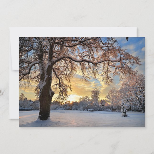 Campagne D'Hiver En Lettonie (Devant)
