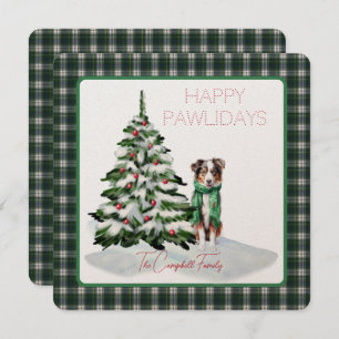 Campbell habillé Tartan moderne Happy Pawlidays Ch