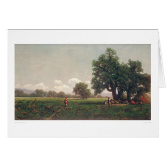Camps indiens (0716A)