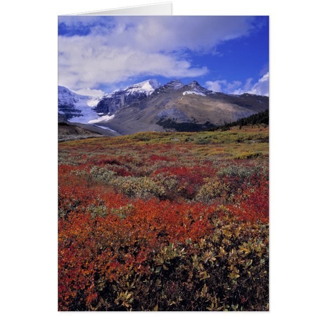 Canada, Alberta, Parc national de Banff. Les airel (Devant)