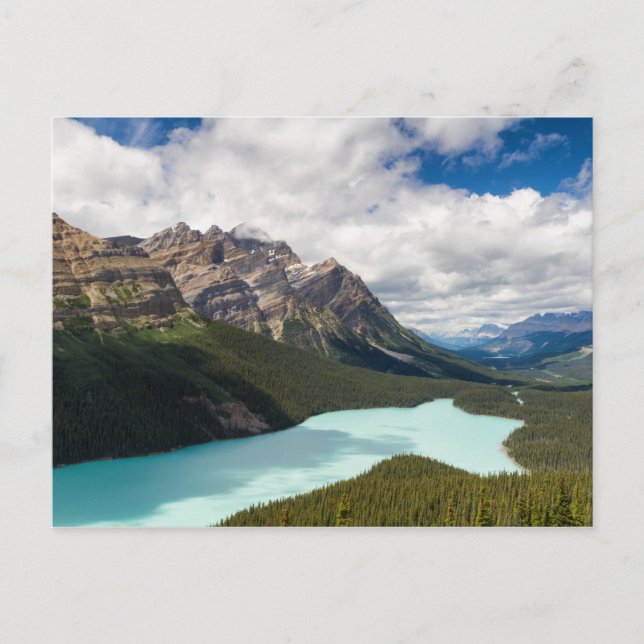 Canada - Carte postale Peyto Lake (Devant)