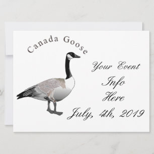 Canada Goose