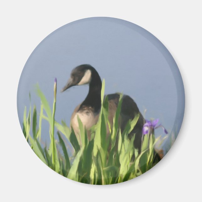 Canada Goose Irises Animal Art Magnet (Devant)