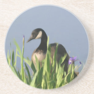 Canada Goose Irises Peinture Dessous de verre anim