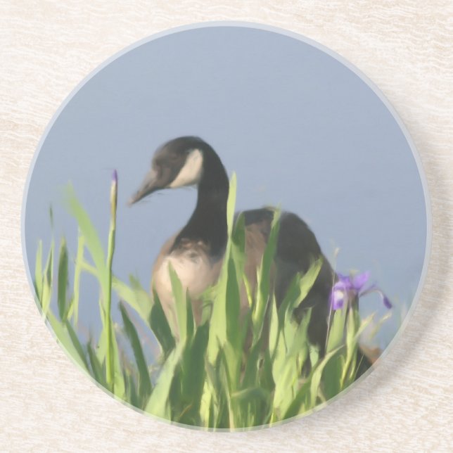 Canada Goose Irises Peinture Dessous de verre anim (Devant)