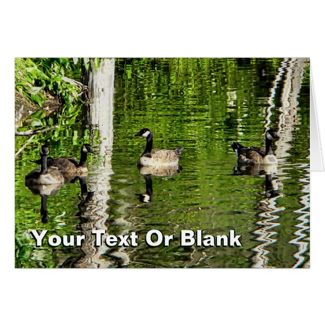 (Canada) Oie verte (Devant horizontal)