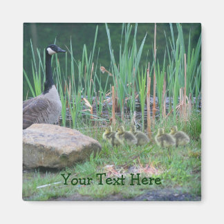 Canada Oies Maman Bébés Nature Photo Magnet