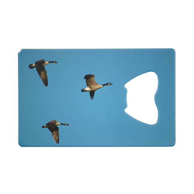 Canadian geese (Devant (Horizontal))