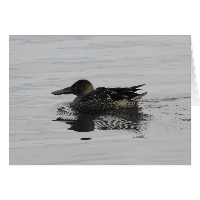 Canard à bec (Devant horizontal)