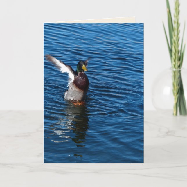 Canard ailé, Carte de voeux vierge (Devant)