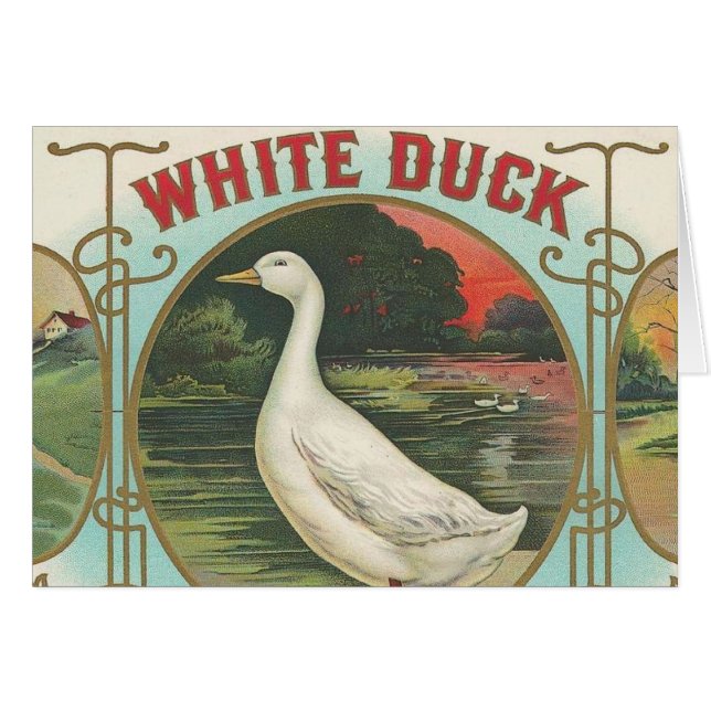 Canard blanc (Devant horizontal)