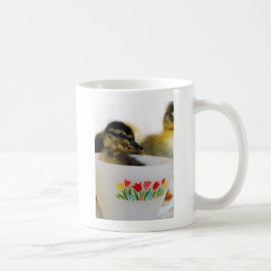 Canard dans une tasse de thé