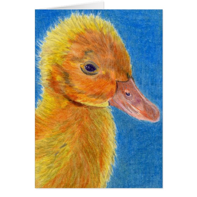 Canard de bébé (Devant)