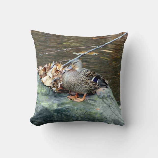 Canard de Mallard (femelle) sur le coussin moussu (Recto)