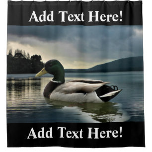 Canard De Mallard Sur Le Rideau De Douche Du Lac