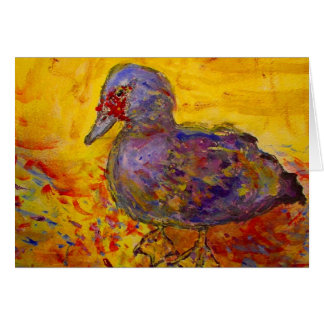 canard de muscovy