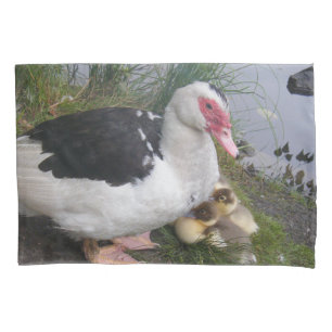 Canard de Muscovy et taie d'oreiller de canetons
