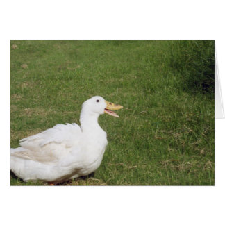 Canard de Pékin avec bec ouvert sur l'herbe verte