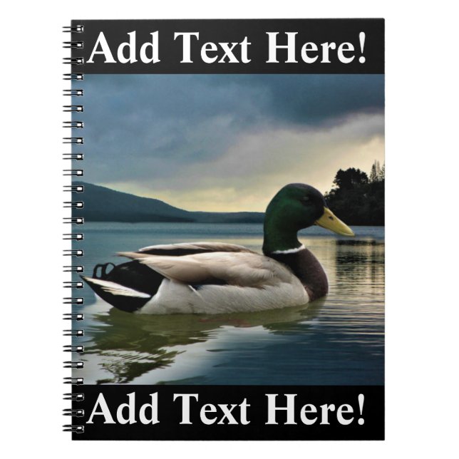 Canard Majard Sur Le Carnet Du Lac (Devant)