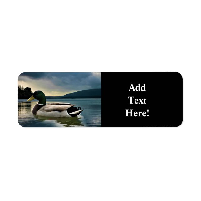 Canard Majard Sur Le Lac Étiquette (Devant)