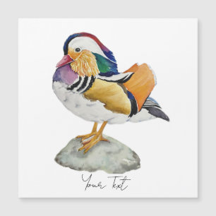Canard mandarin à l'aquarelle