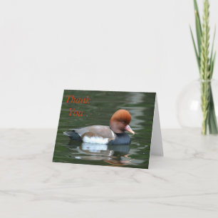 canard sur la rivière merci note