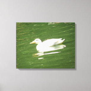 Canard sur la toile d'eau Imprimer