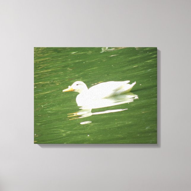 Canard sur la toile d'eau Imprimer (Recto)