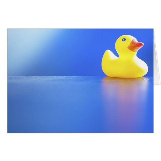 Canard sur le bleu (Devant horizontal)