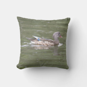 Canard sur le Coussin du lac