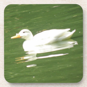 Canard sur le Dessous de verre de liège aquatique