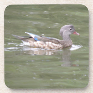 Canard sur le Dessous de verre du lac Cork