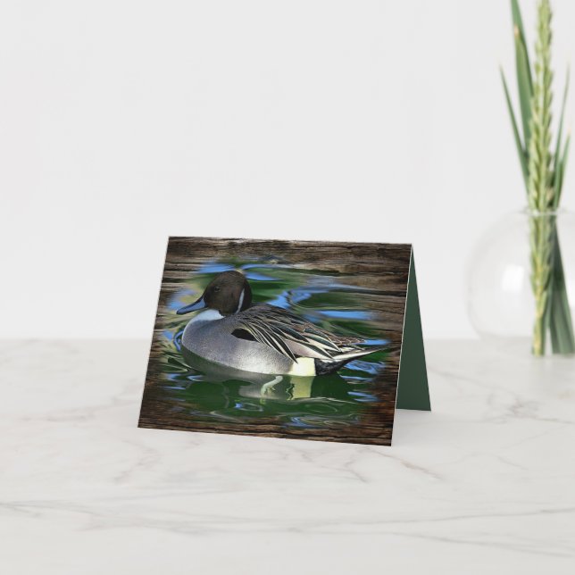 Canard Sur Le Lac (Devant)