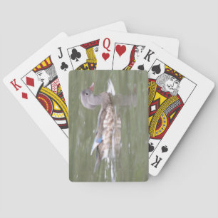 Canard sur le lac Cartes de Jeu
