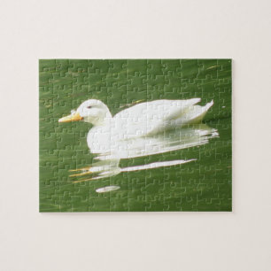 Canard sur l'eau Puzzle