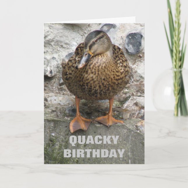 Canard sur un mur amusant carte d'anniversaire per (Devant)